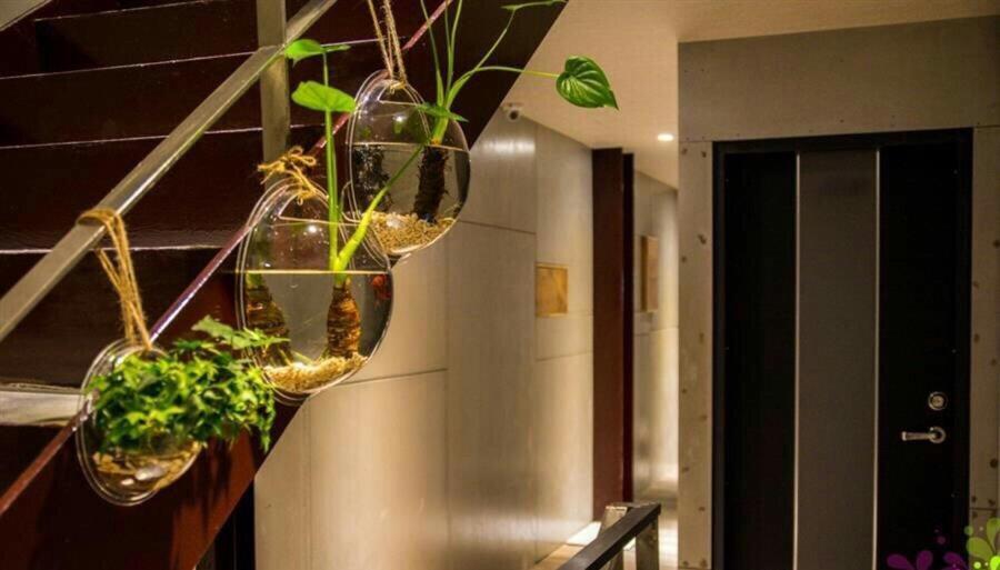 Yy Elleys Home 礁渓郷 エクステリア 写真